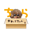 kumatanスタンプ（個別スタンプ：13）