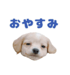 ころも さくさく（個別スタンプ：2）