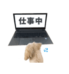 ころも さくさく（個別スタンプ：9）