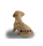 ころも さくさく（個別スタンプ：13）