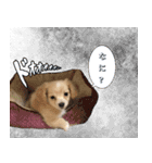 ころも さくさく（個別スタンプ：15）