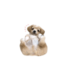 ころも さくさく（個別スタンプ：22）
