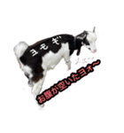BONDS第3段！！（個別スタンプ：8）