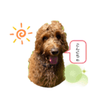 お友達♡くまおさん➁（個別スタンプ：2）