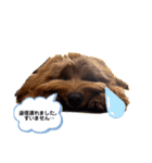 お友達♡くまおさん➁（個別スタンプ：8）