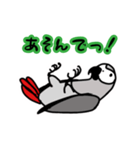 ぴよぴよヨウム（個別スタンプ：3）