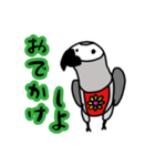 ぴよぴよヨウム（個別スタンプ：4）