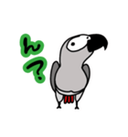 ぴよぴよヨウム（個別スタンプ：5）