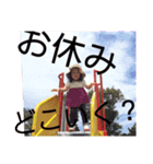 七聖2歳（個別スタンプ：15）