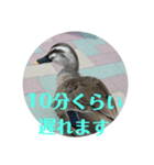 ちょっと連絡ですNo.2（個別スタンプ：1）