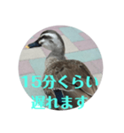 ちょっと連絡ですNo.2（個別スタンプ：2）