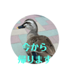 ちょっと連絡ですNo.2（個別スタンプ：4）