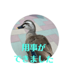ちょっと連絡ですNo.2（個別スタンプ：5）