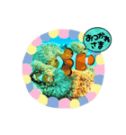 うちのワンコと仲間たち（個別スタンプ：4）