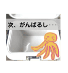 大漁祈願（個別スタンプ：8）