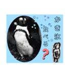 大漁祈願（個別スタンプ：11）