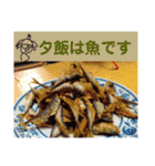 大漁祈願（個別スタンプ：13）