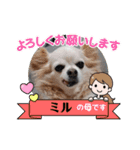 ☆私のミルちゃん☆（個別スタンプ：4）