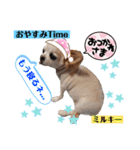 ☆私のミルちゃん☆（個別スタンプ：9）