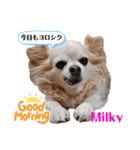 ☆私のミルちゃん☆（個別スタンプ：12）