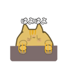 どあっぷねこちゃん（個別スタンプ：15）