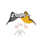 どあっぷねこちゃん（個別スタンプ：25）