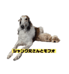 根岸もふおと仲間たち（個別スタンプ：3）