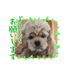 根岸もふおと仲間たち（個別スタンプ：20）