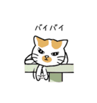 86％白いねこ（個別スタンプ：8）