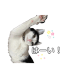 まるぽっぷ（個別スタンプ：4）