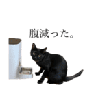 まるぽっぷ（個別スタンプ：15）