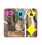 日常言葉特集のめろスタ○9弾‪¨*•.¸¸（個別スタンプ：5）