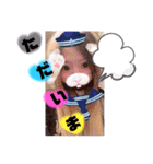 日常言葉特集のめろスタ○9弾‪¨*•.¸¸（個別スタンプ：24）