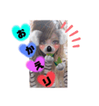 日常言葉特集のめろスタ○9弾‪¨*•.¸¸（個別スタンプ：25）