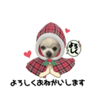KATIE＆CLAIRE 4（個別スタンプ：5）