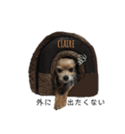 KATIE＆CLAIRE 4（個別スタンプ：15）