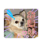 クラインのお話8（個別スタンプ：1）