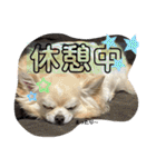 クラインのお話8（個別スタンプ：8）
