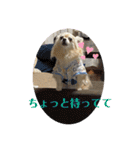 クラインのお話8（個別スタンプ：11）