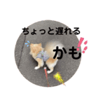 クラインのお話8（個別スタンプ：12）