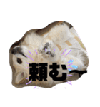 クラインのお話8（個別スタンプ：21）