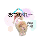 クラインのお話8（個別スタンプ：22）