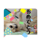 クラインのお話8（個別スタンプ：25）