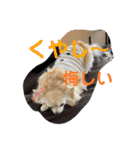 クラインのお話8（個別スタンプ：29）