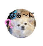 クラインのお話8（個別スタンプ：30）