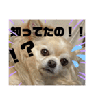 クラインのお話8（個別スタンプ：31）