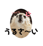 クラインのお話8（個別スタンプ：32）