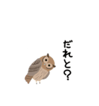 煽りふくろう（個別スタンプ：11）