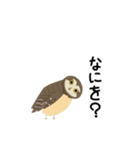 煽りふくろう（個別スタンプ：21）