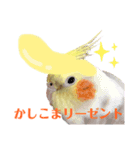 うちのカワイイちびっこたちPart9（個別スタンプ：2）